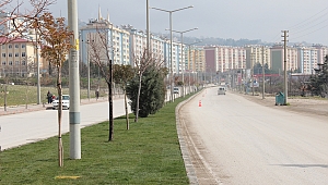 DULKADİROĞLU DİREKSİYON SINAV-EĞİTİM PARKURUNDA ÇİZGİ YOK!