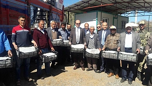 ÇİFTÇİLERE ÇİLEK FİDESİ DESTEĞİ YAPILDI