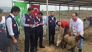 VERENEL, SINIRDA MEHMETÇİĞE KURBAN KESTİ