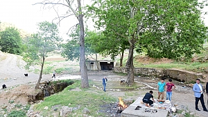 Çataloluk Park ve Mesire Alanı Çalışmalarımız Başlıyor