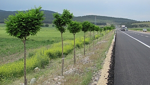 KAHRAMANMARAŞ YENİ BİR MESİRE ALANINA DAHA KAVUŞUYOR…