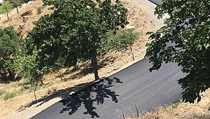 DEDELER YOLU DA ASFALTLANDI
