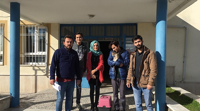 BÜYÜKŞEHİR HAYVAN SHİPLENDİRMEYE DEVAM EDİYOR