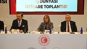 ZABUN, İŞ DÜNYASININ SORUNLARINI BAKAN PEKCAN’A SUNDU