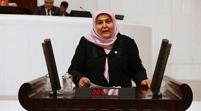 KURTULUŞ DESTANININ 99. YILDÖNÜMÜ MECLİS KÜRSÜSÜNDEN DE ANILDI