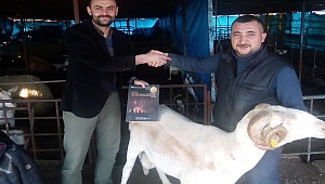 Maraş'ın En İyi Adakçısı ve Kasabı DOĞAN BİRİCİK