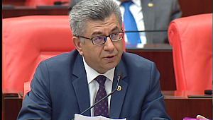 ORMAN YANGINLARINI VE ORMANLARDAKİ KAÇAK YAPILAŞMAYI ÖNLEYELİM