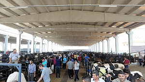 KURBAN SATIŞ, KESİM YERİ VE KESİM ÜCRETLERİ BELİRLENDİ