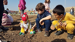 EXPO 2023 ALANINDA, FİDANLAR MİNİK ELLER İLE TOPRAKLA BULUŞTU