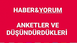 Anketler ve Düşündürdükleri