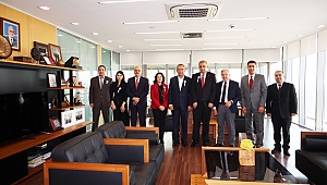 KİPAŞ HOLDİNG VERGİ REKORTMENİ