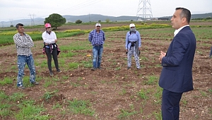 ÇALIŞKAN BAŞARILI ZİRAAT ODASI BAŞKANI MEHMET ÇETİNKAYA ÇİFTÇİLERİ KORONALI GÜNLERDE YALNIZ BIRAKMADI