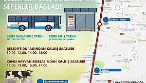 CANLI HAYVAN BORSASI’NA OTOBÜS SEFERLERİ BAŞLADI