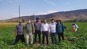 K.MARAŞ ZİRAAT ODASI VE TARIM İL MÜDÜRLÜĞÜNDEN BİR ETKİNLİK DAHA