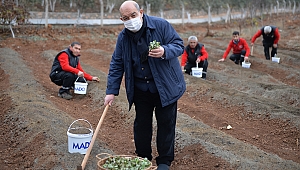 MADO'DAN BÖLGE ÇİFTÇİSİNİ İHYA EDECEK PROJE