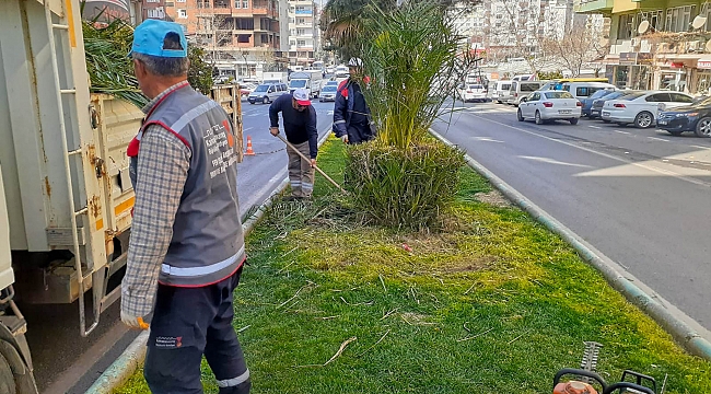ARTERLER MİNYATÜR AĞAÇLARLA SÜSLENİYOR