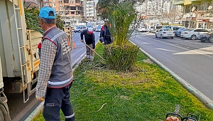 ARTERLER MİNYATÜR AĞAÇLARLA SÜSLENİYOR