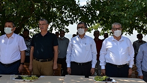 DULKADİROĞLU İLÇESİNDE KIRMIZI MERCİMEK TOHUMU DAĞITIMI GERÇEKLEŞTİRİLDİ