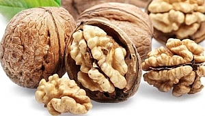 TURİZMCİ VE EĞİTİMCİ YÜKSEL HORASAN'DAN ORGANİK MEŞHUR TEKİR CEVİZİ