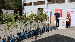 ANDIRIN’DA CEVİZ FİDANI DAĞITIM TÖRENİ DÜZENLENDİ