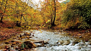 Kahramanmaraş Göksun ilçesinde bulunan Cödden Vadisi görenleri büyülüyor.
