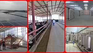 KIRSAL KALKINMA DESTEKLERİ KAPSAMINDA TARIMA DAYALI EKONOMİK YATIRIMLAR ve ALTYAPI YATIRIMLARI 2021-2022 BAŞVURULARI BAŞLADI. 