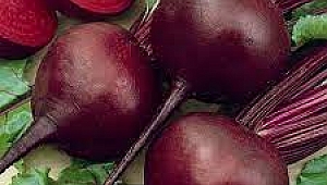 Koronavirüs’e kırmızı pancar, formda kalmak için yumurta Bağışıklığı güçlendirirken formda kal