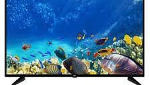 Gün İçinde 2 Saatten Fazla Televizyon Karşısında Geçirenler Yeni Hobiler Edinmeli