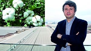 BÖLGEMİZİN VE ÜLKEMİZİN GURURU KİPAŞ'TAN ORGANİK PAMUĞA ALTERNATİF