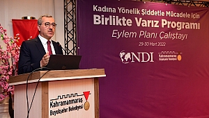 Kadına Yönelik Şiddetle Mücadele Eylem Planı