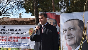 TÜRKOĞLU’NDA CEVİZ FİDANI DAĞITILDI