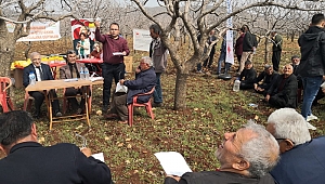ANTEPFISTIĞI DAL GÜVESİ İLE BİYOTEKNİK MÜCADELE ÇALIŞMALARI BAŞLADI...