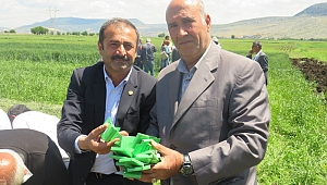 BUĞDAYDA SÜNE İLE BİYOLOJİK MÜCADELE KAPSAMINDA PARAZİTOİD SALIMI GERÇEKLEŞTİRİLDİ…