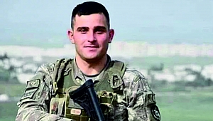 ŞEHİDİMİZ VAR TÜRKİYEM!...