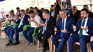 Şehitlerimizi Rahmet ve Minnetle Anıyoruz