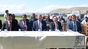 SÜNEDE BİYOLOJİK MÜCADELE KAPSAMINDA ELBİSTAN İLÇEMİZDE PARAZİTOİD SALIMI GERÇEKLEŞTİRİLDİ...