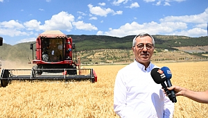 Başkan Güngör Buğday Hasadına Katıldı