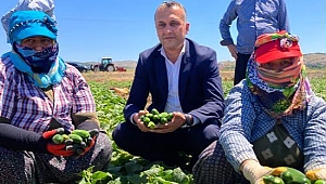 MEHMET ÇETİNKAYA'DAN DÜNYA KADIN ÇİFTÇİLER DOLAYISIYLA ANLAMLI KUTLAMA