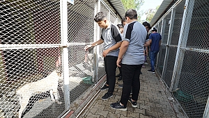 Öğrencilerin Şefkat Eli Can Dostlara Uzandı