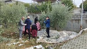 Bu Okulda Öğrenciler Doğa ile İçli Dışlı Eğitim Görüyorlar...