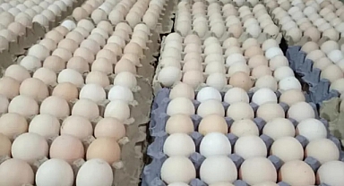 Değerli Yetkililer Devlet Büyüklerimiz Emekliye Asgari Ücrete Zam Yapacağınıza ZAMLARI DURDURUN