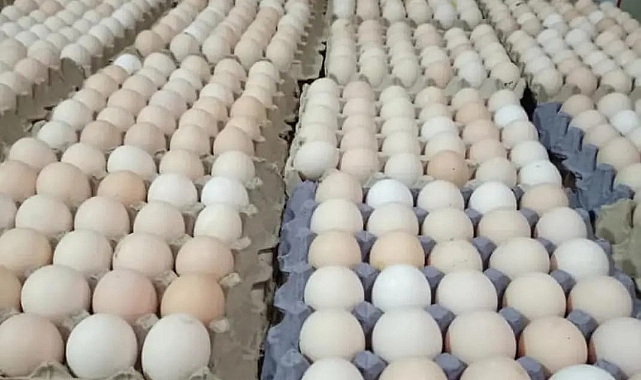 Değerli Yetkililer Devlet Büyüklerimiz Emekliye Asgari Ücrete Zam Yapacağınıza ZAMLARI DURDURUN