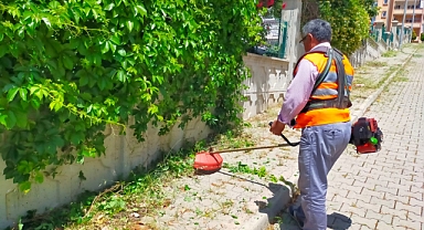 Onikişubat’ta Yabani Otlar Temizleniyor, Sokaklar Estetik Bir Görünüme Kavuşuyor