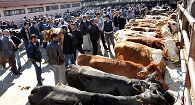 Şap Hastalığına Karşı Karantina Kararı Alındı