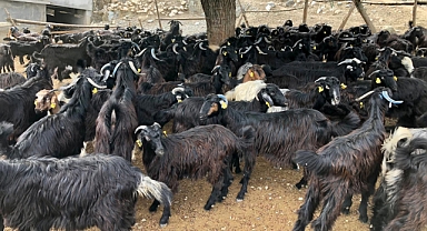 Birlik Başkanı KUZU Deprem Demedi Gece Demedi Gündüz Demedi..Çalıştı ve Başardı...