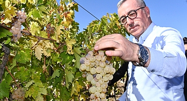Kahramanmaraş Bertiz Kabarcık Üzümü Tescillendi