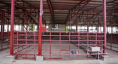 Adaklık Satış Merkezi Canlı Hayvan Borsası’na Taşınıyor