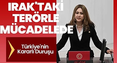 Irak'taki Terörle Mücadelede Türkiye'nin Kararlı Duruşu