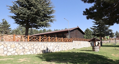 YALNIZ ARDIÇ BUNGALOV EVLER MİSAFİRLERİNİ BEKLİYOR