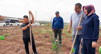 “Büyükşehir’den Engelsiz Orman”